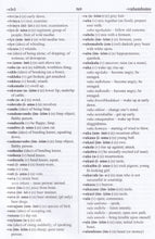 Scholar's Zulu Dictionary: English-Zulu & Zulu-English - 9780796033314 - sample page 2