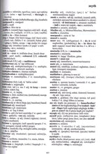 Kelmet Il-Malti: Maltese-English & English-Maltese Dictionary 9789995704902 - sample page