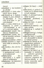 English-Slovak & Slovak-English Dictionary 9788088814658 - sample page