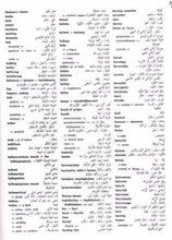 Hitti's New Medical Dictionary - English-Arabic with Arabic-English Index - 9789953101064 - sample page