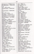 Exam Suitable : English-Punjabi & Punjabi-English One-to-One Dictionary - 9781908357922 - sample page 2