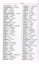 Exam Suitable : English-Tagalog & Tagalog-English One-to-One Dictionary - 9781912826476 - sample page 2