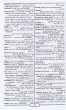 Star English-Urdu & Urdu-English Dictionary 9788176500326 - sample page 2
