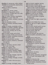Compact Zulu Dictionary: English-Zulu & Zulu-English