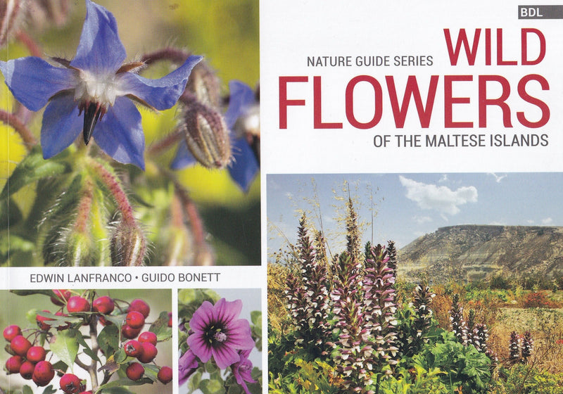 Wild Flowers of the Maltese Islands - 9789995746599 - front cover