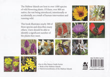 Wild Flowers of the Maltese Islands - 9789995746599 - back cover