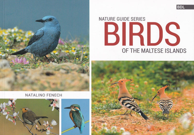 Birds of the Maltese Islands - Front cover - 9789995767365