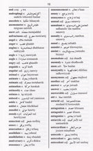 Exam Suitable : English-Arabic & Arabic-English One-to-One Dictionary - 9781908357724 - sample page 1
