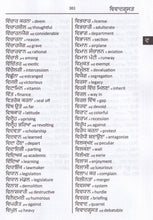 Exam Suitable : English-Punjabi & Punjabi-English Word-to-Word Dictionary - 9780933146327 - sample page 2