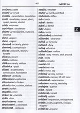 Exam Suitable : English-Czech & Czech-English Word-to-Word Dictionary - 9780933146624 - sample page 2