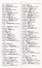 Exam Suitable : English-Hindi & Hindi-English One-to-One Dictionary - 9781908357496 - sample page 1