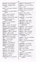Exam Suitable : English-Farsi & Farsi-English One-to-One Dictionary - 9781908357571 - sample page 1