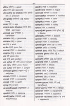 Exam Suitable : English-Nepali & Nepali-English One-to-One Dictionary - 9781908357632 - sample page 2
