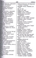 Essential Urdu School Dictionary: English-Urdu & Urdu-English 9781444795523 - sample page