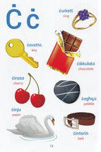 Maltese Bilingual Picture Dictionary for Children & Schools - Maltese-English & English-Maltese - 9789995746971 - sample page 1