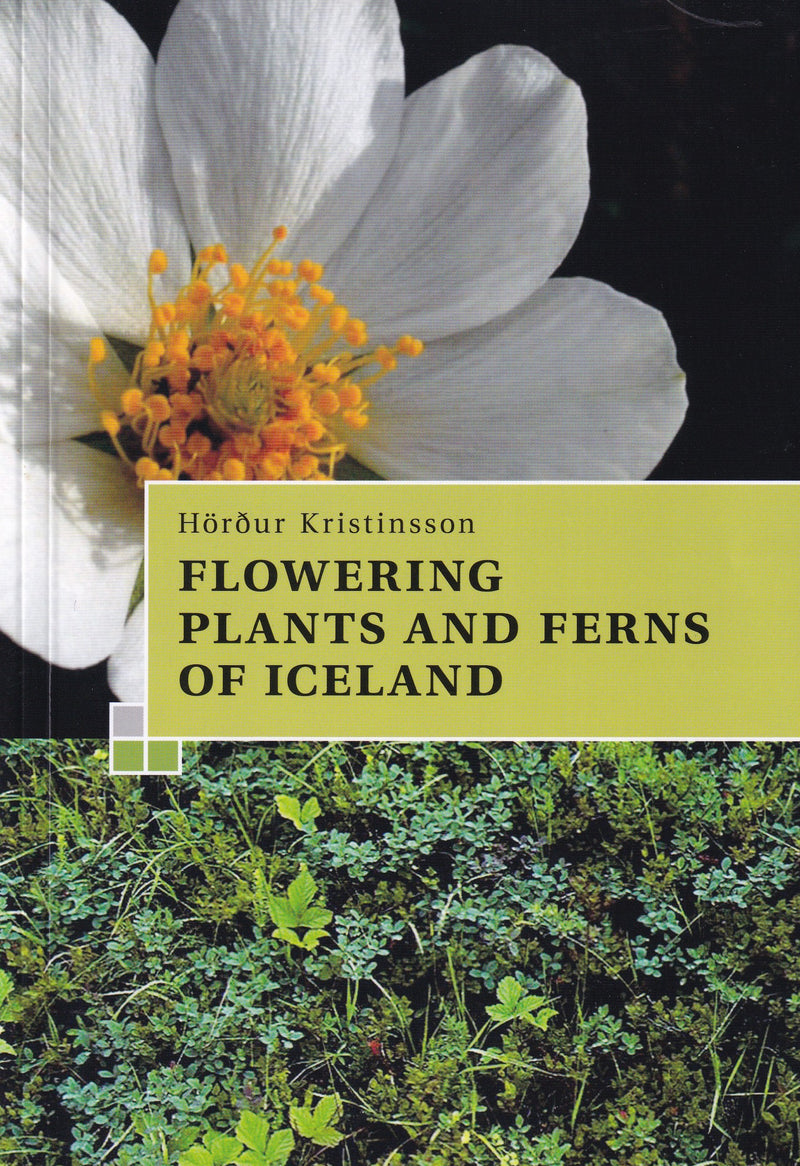 Guide to the Flowering Plants and Ferns of Iceland - book - 9789979331582 - front cover