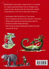 Children's English-Icelandic & Icelandic-English Illustrated Picture Dictionary 9789979329602 - back cover