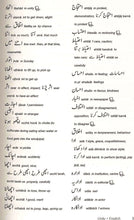 Essential Urdu School Dictionary: English-Urdu & Urdu-English 9781444795523 - sample page